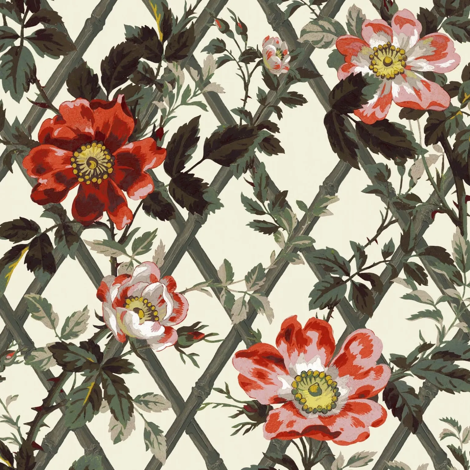 BRYHER ROSE Wallpaper - Cinnabar