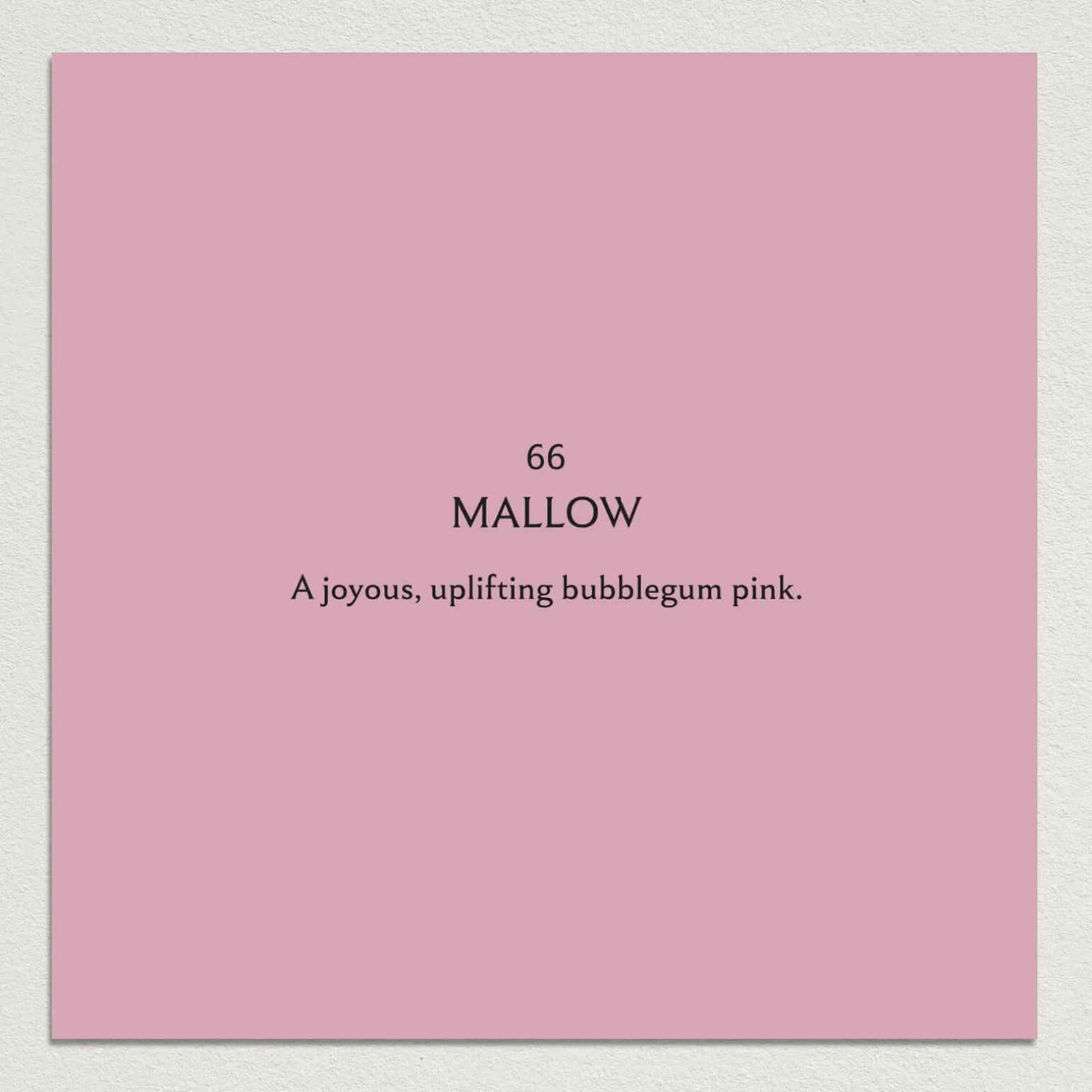 MALLOW Paint - 66